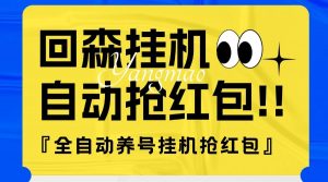 『高端精品』外面收费580的最新回森全自动养号挂机抢红包项目，单号一天5-10+『自动脚本+使用教程』-网创之家