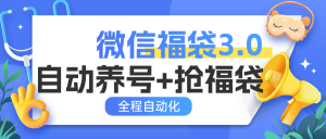 『高端精品』外面收费988微信福袋 全程自动抢福袋和养号 实物+礼物多功能变现『脚本卡密+详细教程』-网创之家