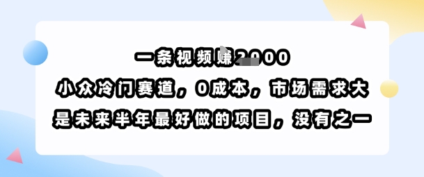 一条视频挣1k,小众冷门赛道,0成本,市场需求大,是未来半年最好做的项目,没有之一-网创之家