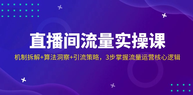 直播间流量实操课：机制拆解+算法洞察+引流策略，3步掌握流量运营核心逻辑-网创之家