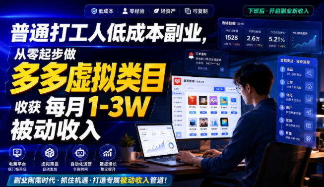 普通打工人低成本副业，从零起步做多多虚拟类目，收获每月1-3W被动收入【揭秘】-网创之家