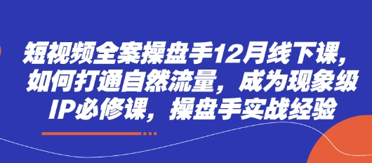 短视频全案操盘手12月线下课，如何打通自然流量，成为现象级IP必修课，操盘手实战经验-网创之家