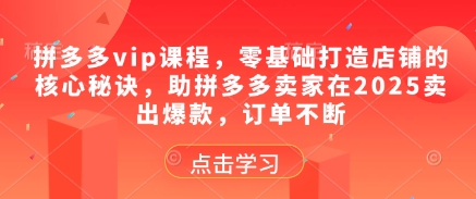 拼多多vip课程,零基础打造店铺的核心秘诀,助拼多多卖家在2025卖出爆款,订单不断-网创之家