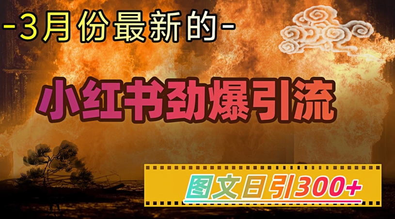 小红书超劲爆引流手段，图文日引300+轻松变现1W-网创之家