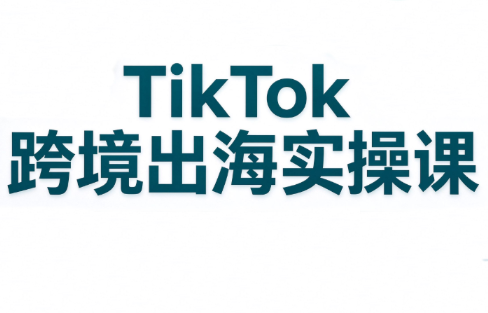 彭老师·TikTok跨境出海实操课-网创之家