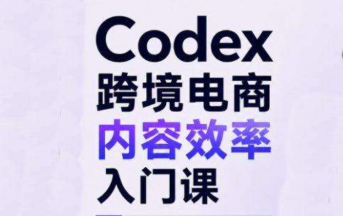 Codex跨境电商内容效率入门课-网创之家