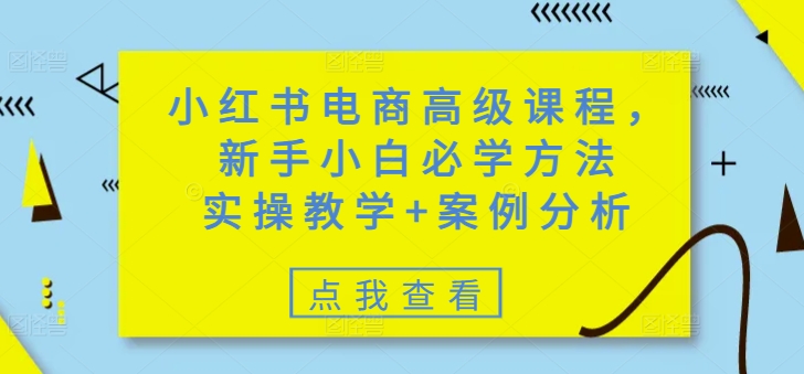 小红书电商高级课程，新手小白必学方法，实操教学+案例分析-网创之家