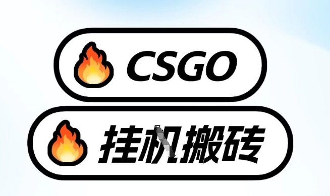 真全网独家CSGO挂G，最新玩法,单日捡漏1K+，不用电脑，不用打游戏【揭秘】-网创之家
