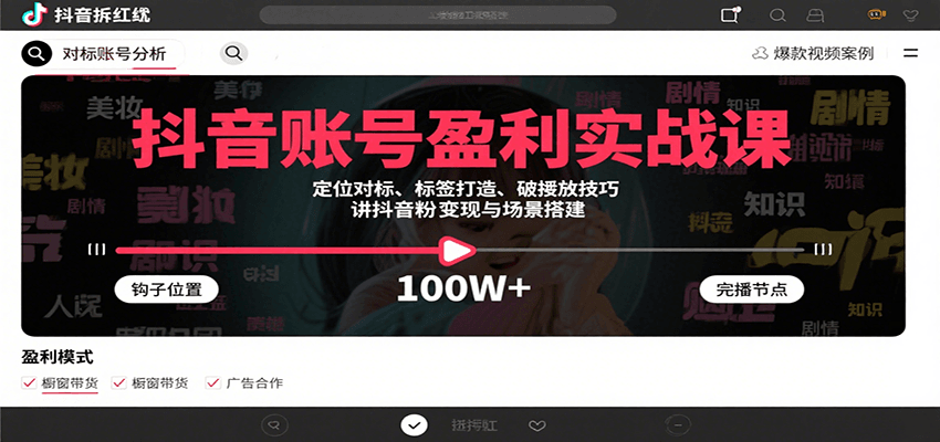 抖音账号盈利实战课,定位对标、标签打造、破播放技巧,讲涨粉变现与场景搭建-网创之家