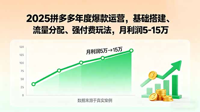 2025拼多多年度爆款运营,基础搭建、流量分配、强付费玩法,月利润5-15万-网创之家