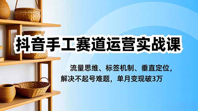 抖音手工赛道运营实战课，流量思维、标签机制、垂直定位，解决不起号难题，单月变现破3万-网创之家