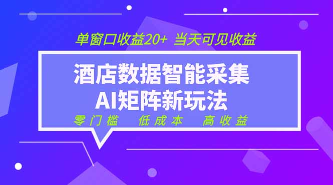 2026酒店数据采集ai智能矩阵新风口  低成本   高收益   当天见收益   单窗口20+-网创之家