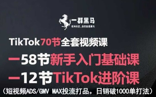 TikTok全套视频课，新手入门+进阶课，短视频ADS-GMV MAX投流打品，日销破1000单打法-网创之家