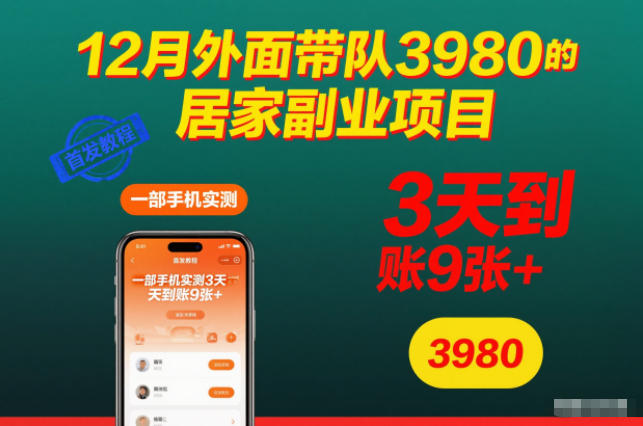 12月外面带队3980的居家副业项目，一部手机实测3天到账9张+，首发教程【揭秘】-网创之家