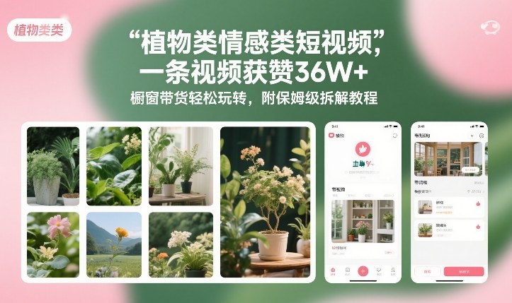 植物类情感类短视频，一条视频获赞36W+，橱窗带货轻松玩转，附保姆级拆解教程-网创之家