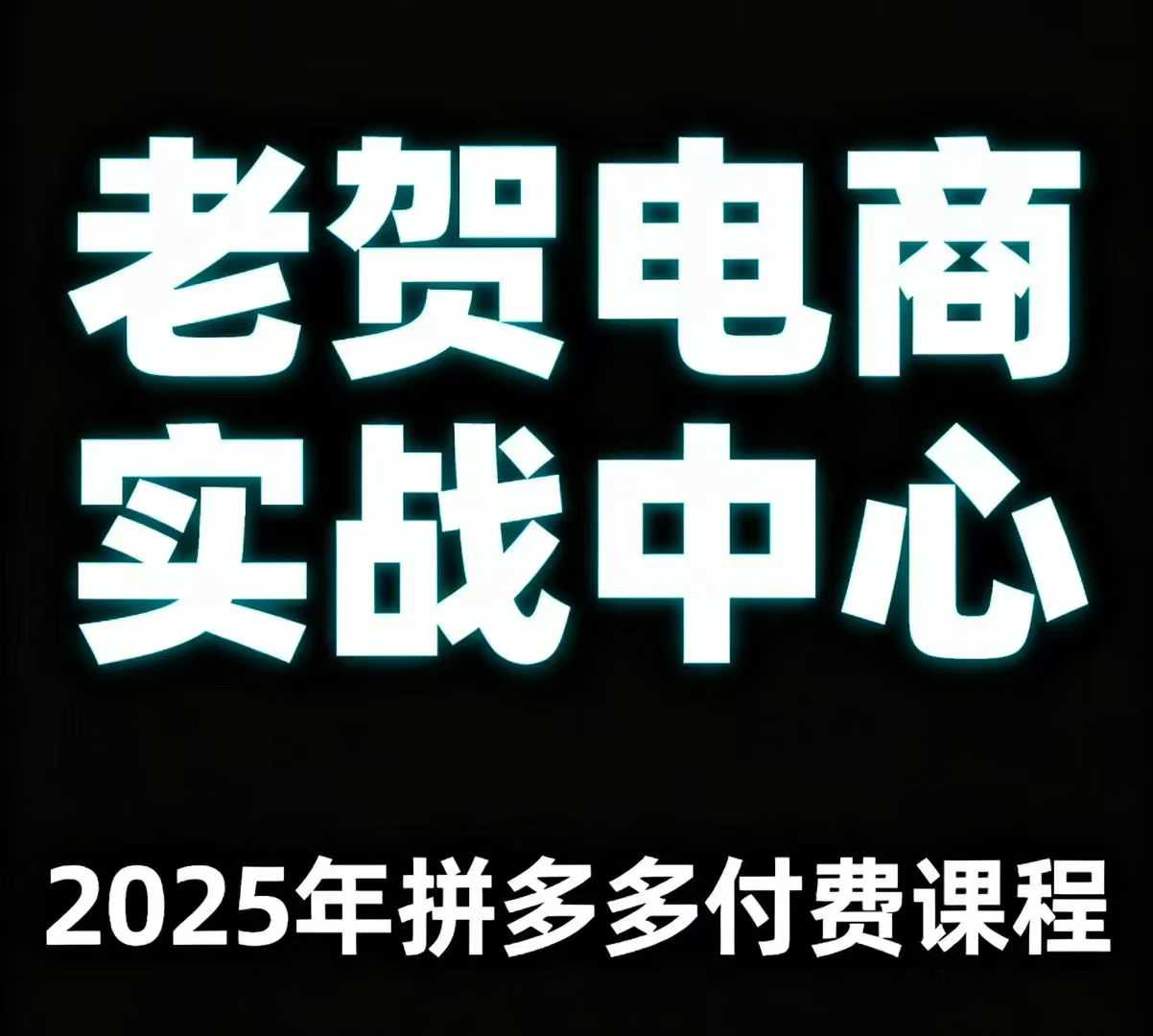 老贺电商2025年拼多多付费课程,用通俗易懂的方法告诉你多多怎么玩-网创之家