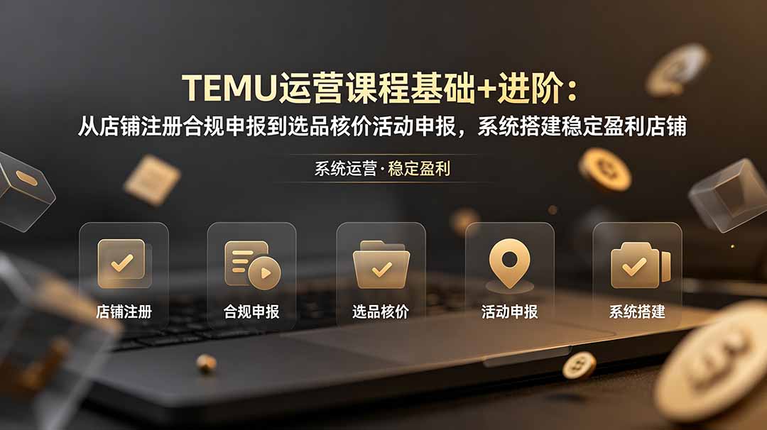 TEMU运营课程(基础+进阶-网创之家