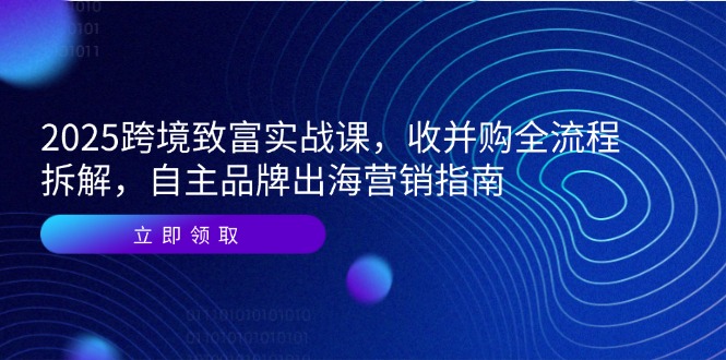 2025跨境致富实战课，收并购全流程拆解，自主品牌出海营销指南-网创之家