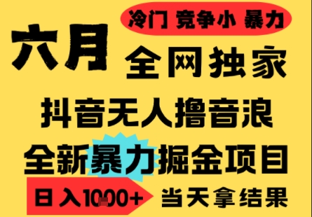 25年6月高爆抖音无人直播最新撸音浪掘金项目，小白可做，无脑日入1k+，门槛低可批量矩阵【揭秘】-网创之家