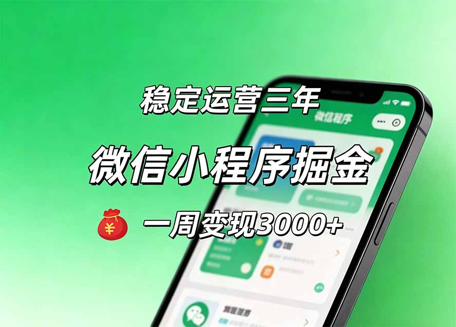月收益稳定1W+的微信小程序，前期积累客户，后期躺平养老，小白轻松上手-网创之家
