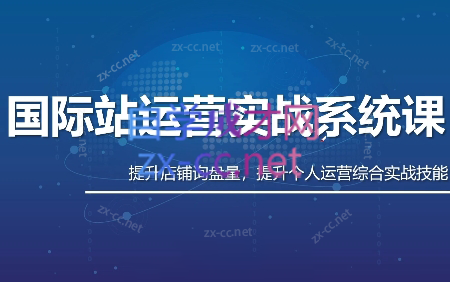 白老师·国际站运营实战系统(高质量询盘增长课)(更新)-网创之家