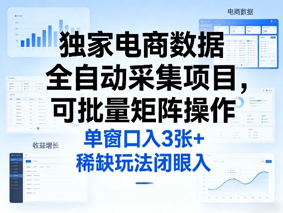 独家电商数据全自动采集项目，可批量矩阵操作，单窗口日入3张+，稀缺玩法闭眼入【揭秘】-网创之家