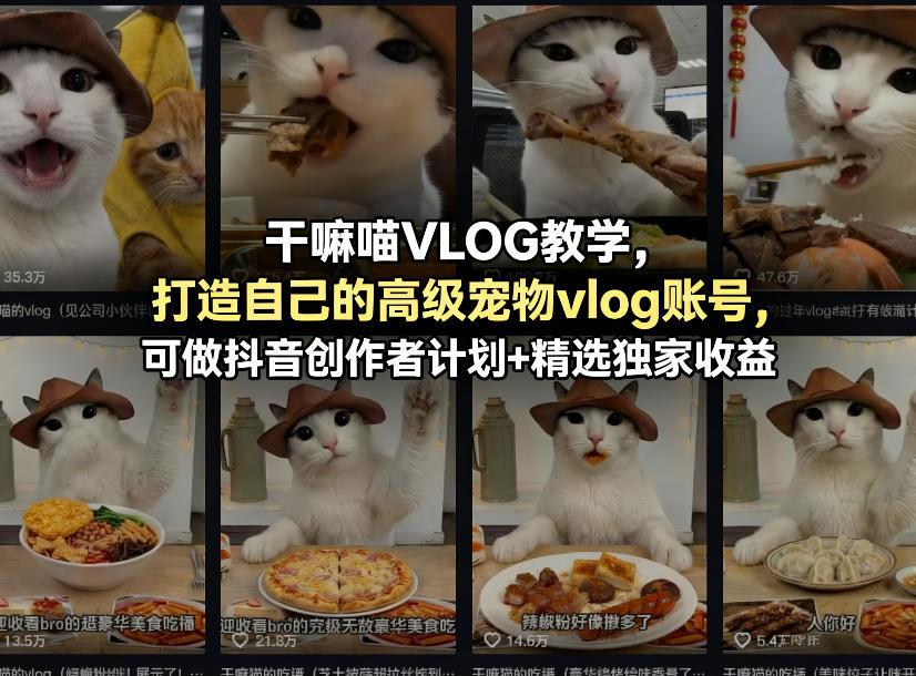 干嘛喵VLOG教学，打造自己的高级宠物vlog账号，可做抖音创作者计划+精选独家收益-网创之家