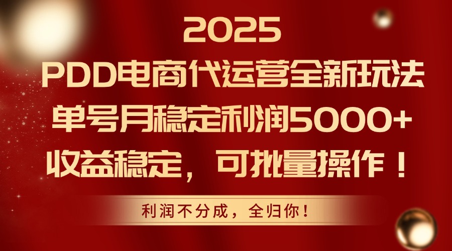 2025PDD电商代运营全新玩法,单号月稳定利润5000+,收益稳定,可批量操作-网创之家