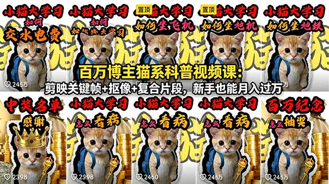 百万博主猫系科普视频课：剪映关键帧+抠像+复合片段，新手也能月入过万-网创之家