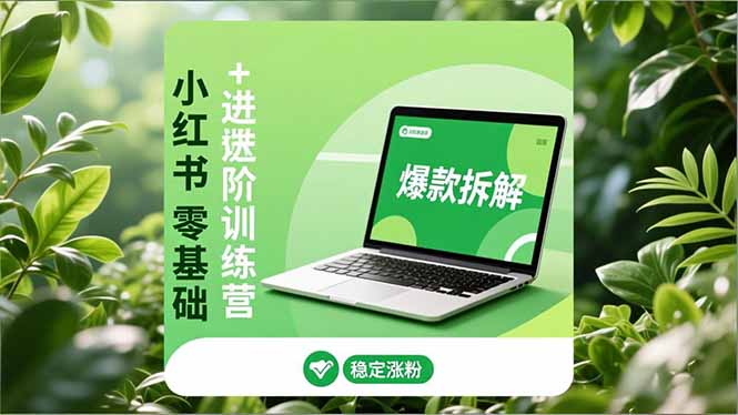 小红书零基础+高阶训练营：安全养号、爆款拆解、长效运营，实现稳定涨粉与变现-网创之家