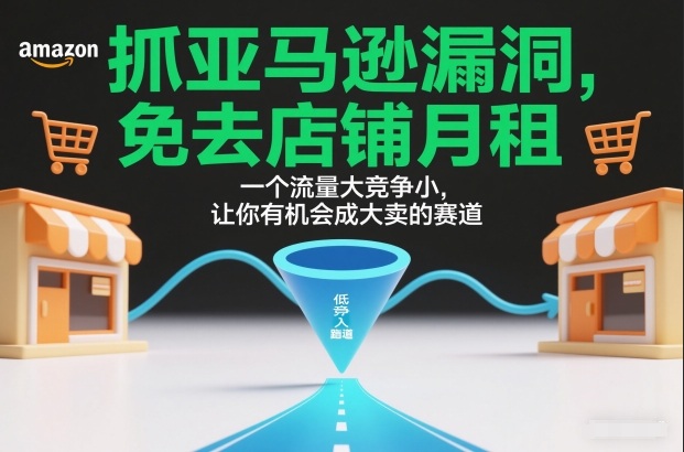 抓亚马逊漏洞，免去店铺月租，一个流量大竞争小，让你有机会成大卖的赛道-网创之家
