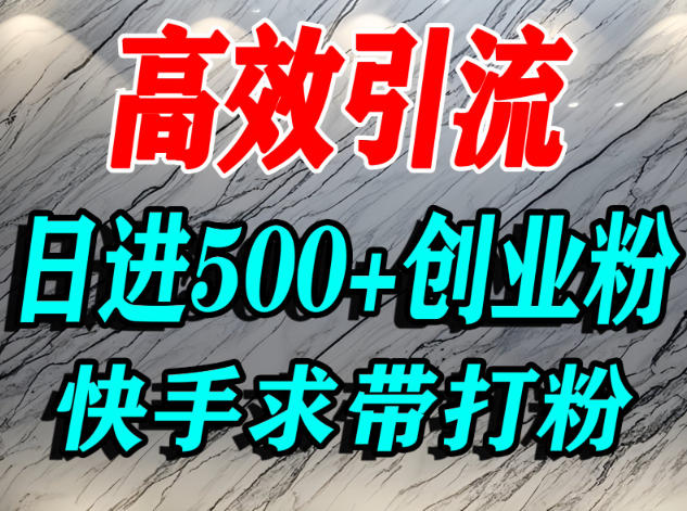 怎么打创业粉?快手求带视角精准引流创业粉,宝妈、学生群体日进500+精准流量-网创之家