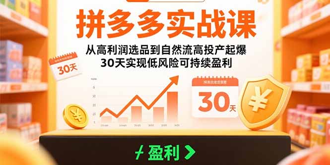 拼多多实战课:从高利润选品到自然流高投产起爆 30天实现低风险可持续盈利-网创之家