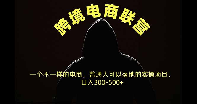 跨境电商联营，一个不一样的电商，普通人可操作日入300-500+-网创之家
