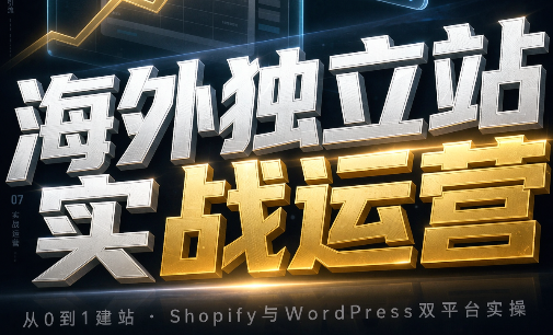 海外独立站实战运营-网创之家