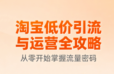 淘宝低价引流与运营全攻略(更新9月)-网创之家