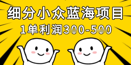 细分小众蓝海项目，一单利润3张，每月收入稳定过1w+-网创之家