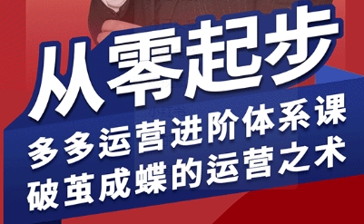 拼多多运营进阶系统课，从零起步，多多运营进阶体系课，破茧成蝶的运营之术(更新26年4月)-网创之家