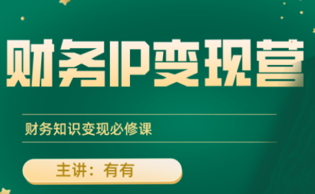 有有老师·财务IP变现营，财务知识变现必修课-网创之家