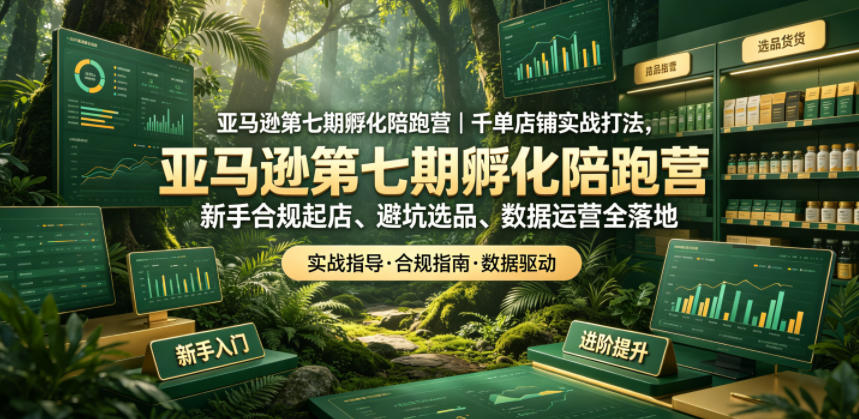 亚马逊孵化陪跑营｜千单店铺实战打法，新手合规起店、避坑选品、数据运营全落地(更新0708)-网创之家