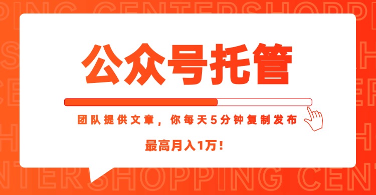 【公众号托管 】我提供文章,你每天5分钟复制发布,最高月入1W-网创之家