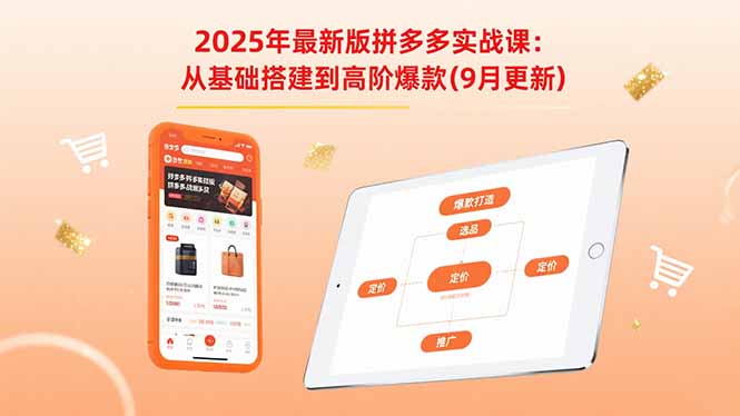 2025年最新版拼多多实战课:从基础搭建到高阶爆款(9月更新-网创之家