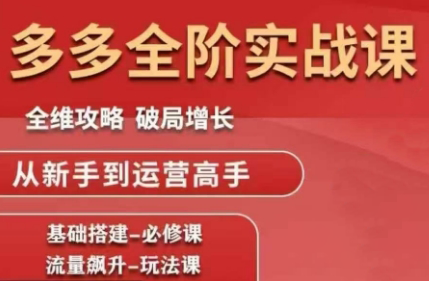 大炮·拼多多全阶实战课程(更新2026)-网创之家