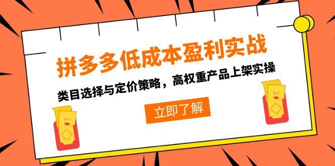拼多多低成本盈利实战,类目选择与定价策略,高权重产品上架实操-网创之家