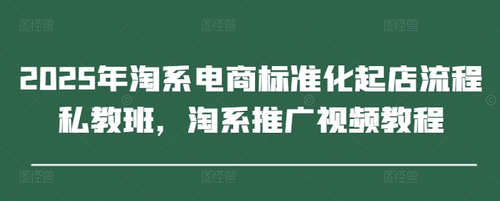 2025年淘系电商标准化起店流程私教班,淘系推广视频教程-网创之家