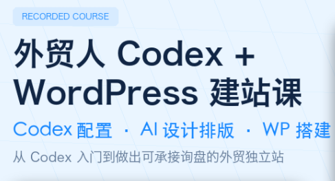 大卫·外贸人Codex + WordPress建站课(更新8月)-网创之家