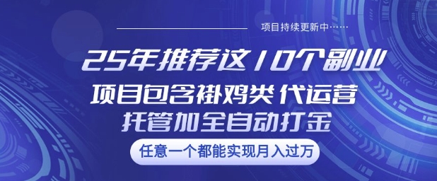 25年推荐这10个副业项目包含褂鸡类、代运营托管类、全自动打金类【揭秘】-网创之家