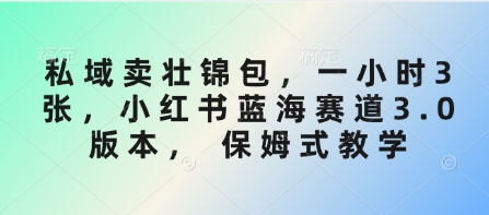 私域卖壮锦包，一小时3张，小红书蓝海赛道3.0版本， 保姆式教学-网创之家