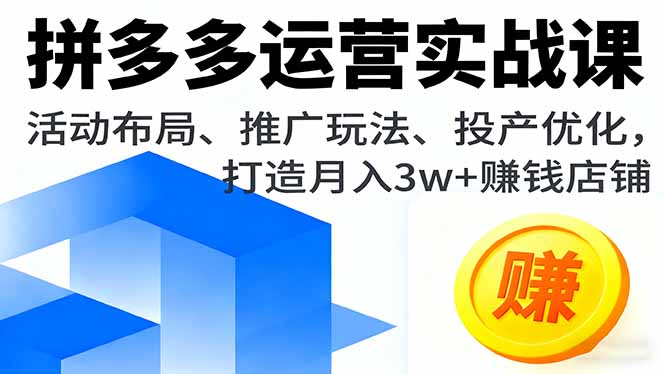 拼多多运营实战课，活动布局、推广玩法、投产优化，打造月入3w+赚钱店铺-网创之家