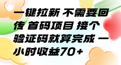 一键拉新 不需要回传 首码项目 接个验证码就算完成 一小时收益70+【揭秘】-网创之家
